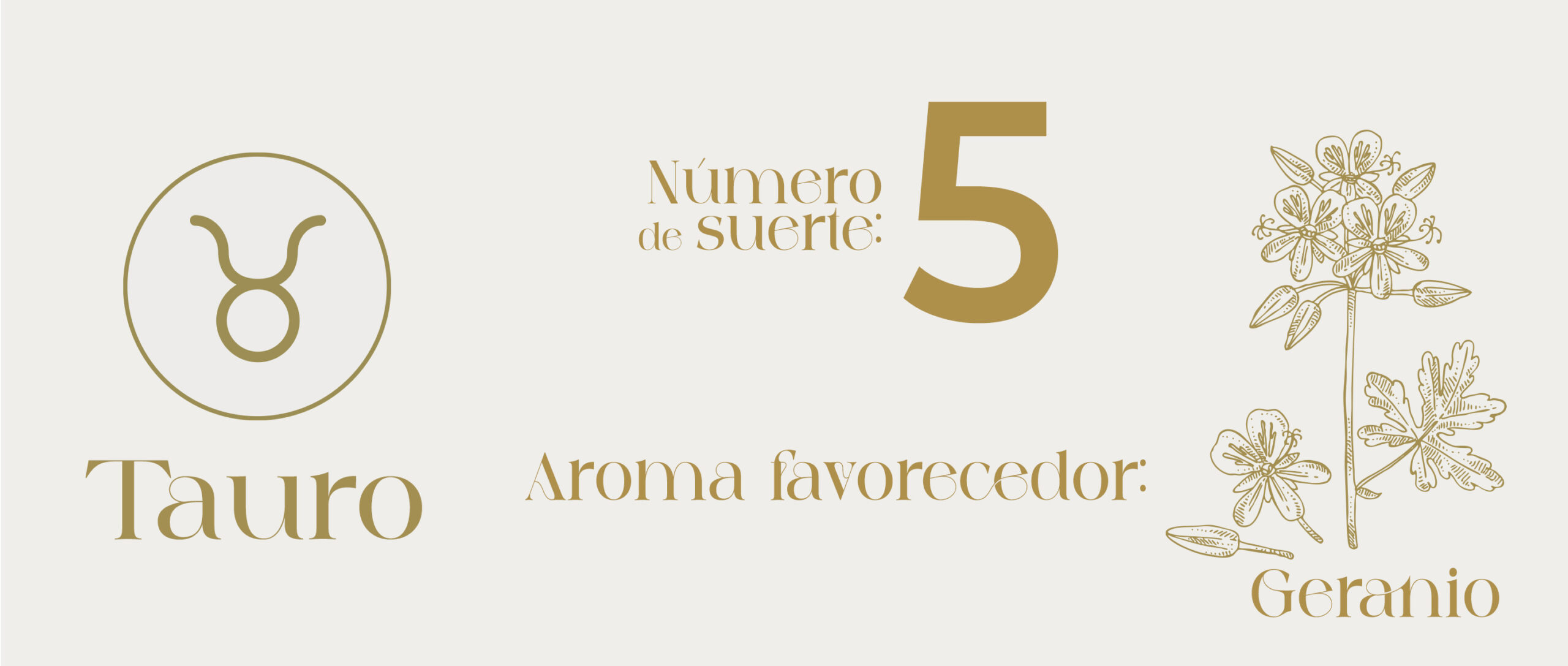 IMAGEN_3