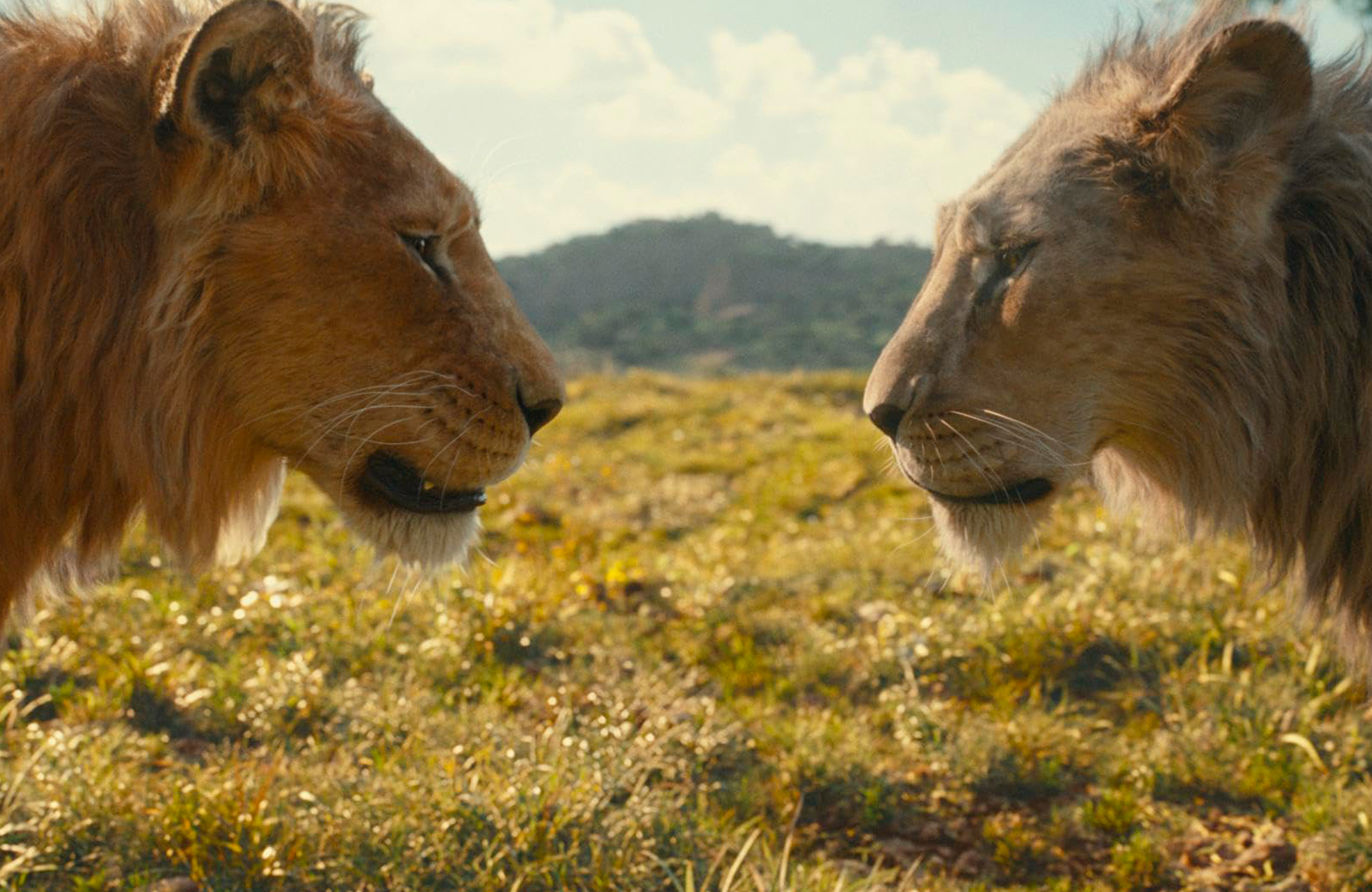 09_BANNER-MUFASA