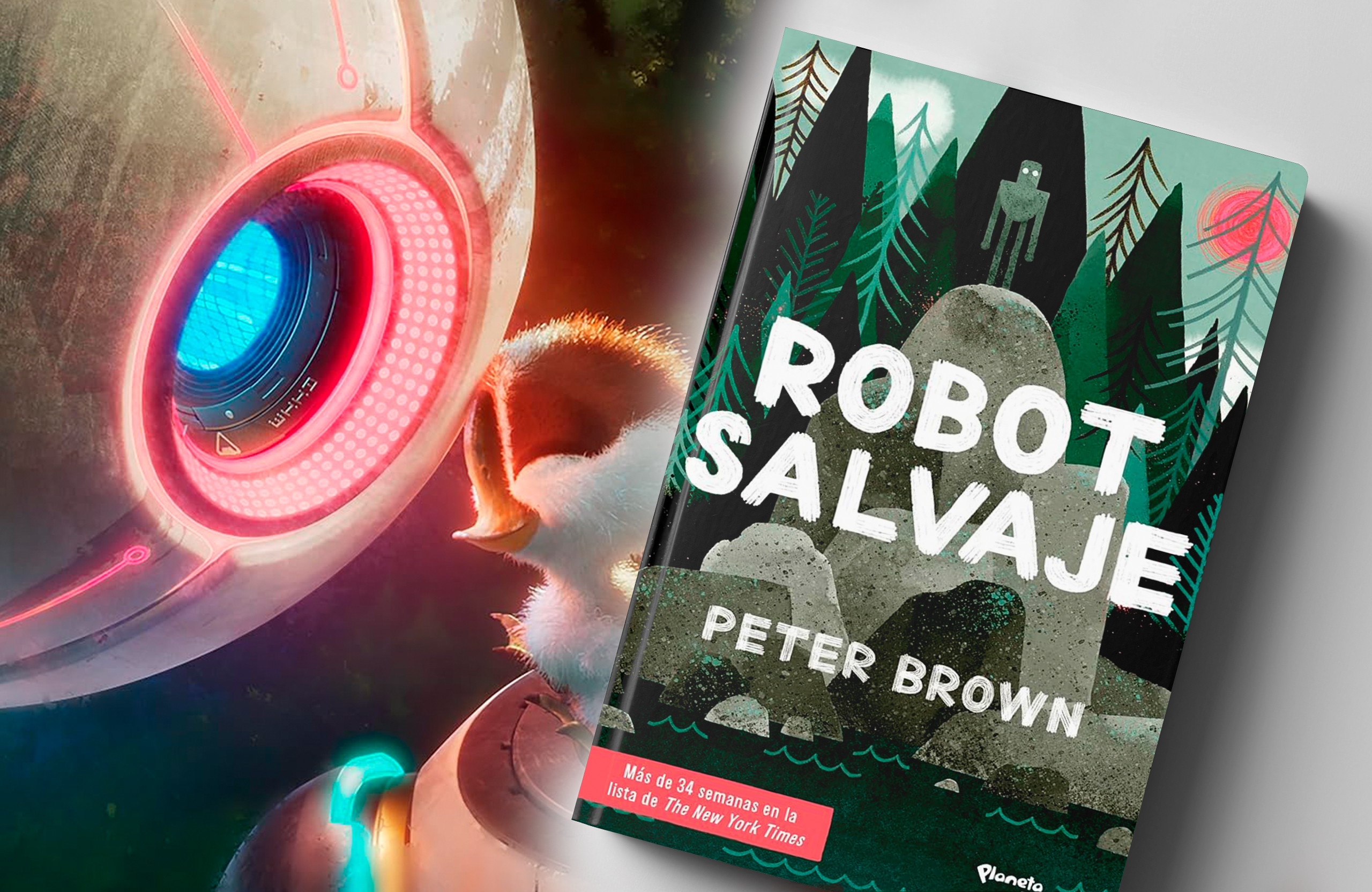 4_BANNER-NOTA-ROBOT