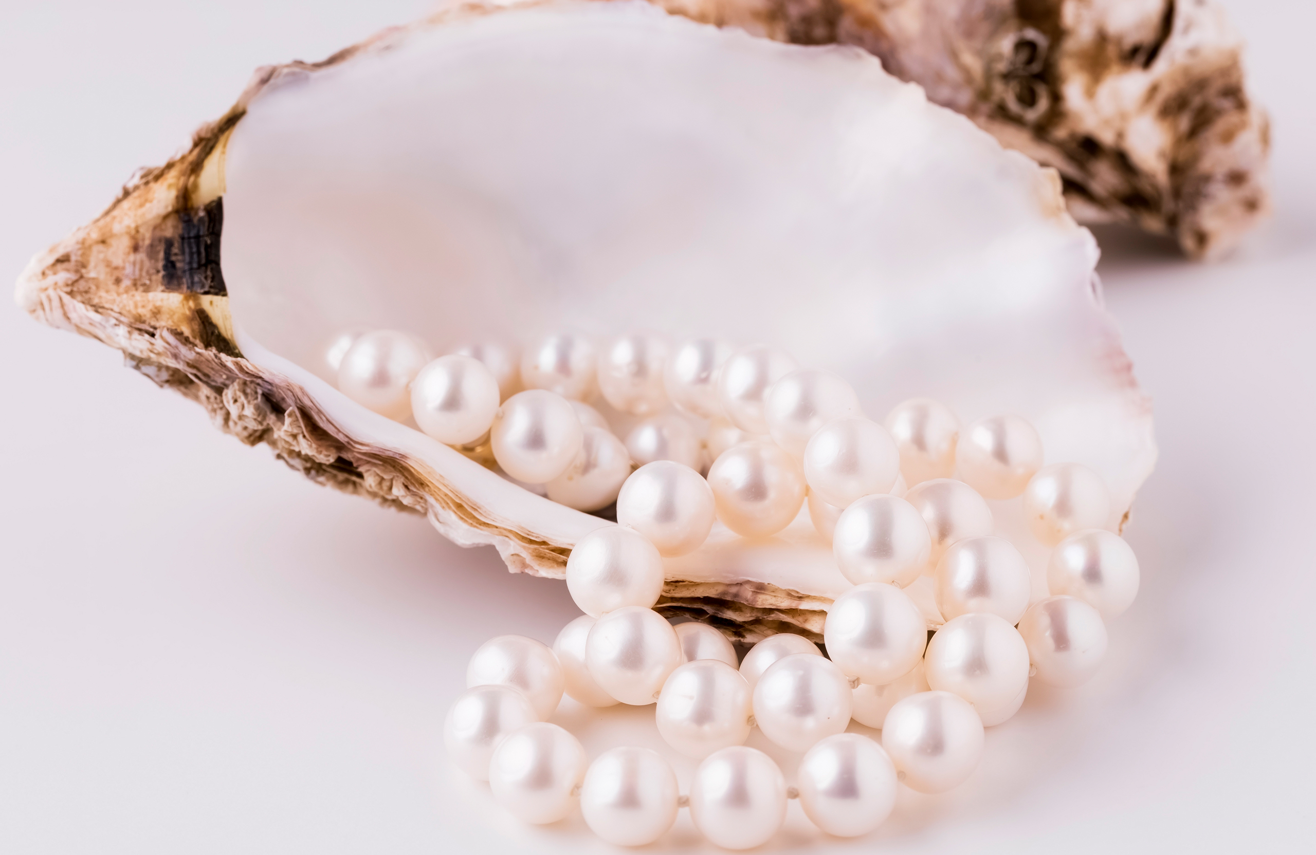 6_ACCESORIOS_BANNER-DE-NOTA