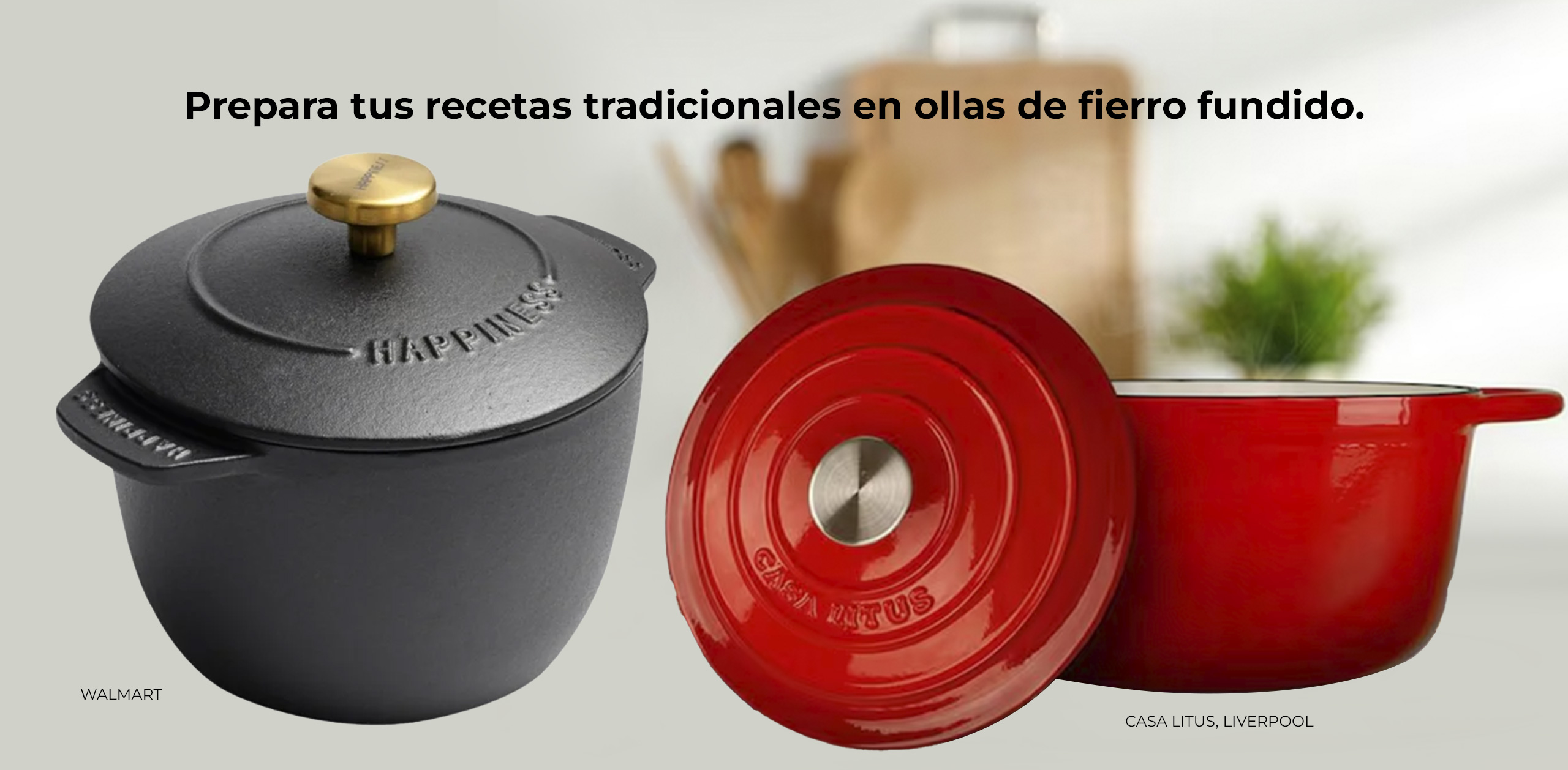 IMAGEN_3