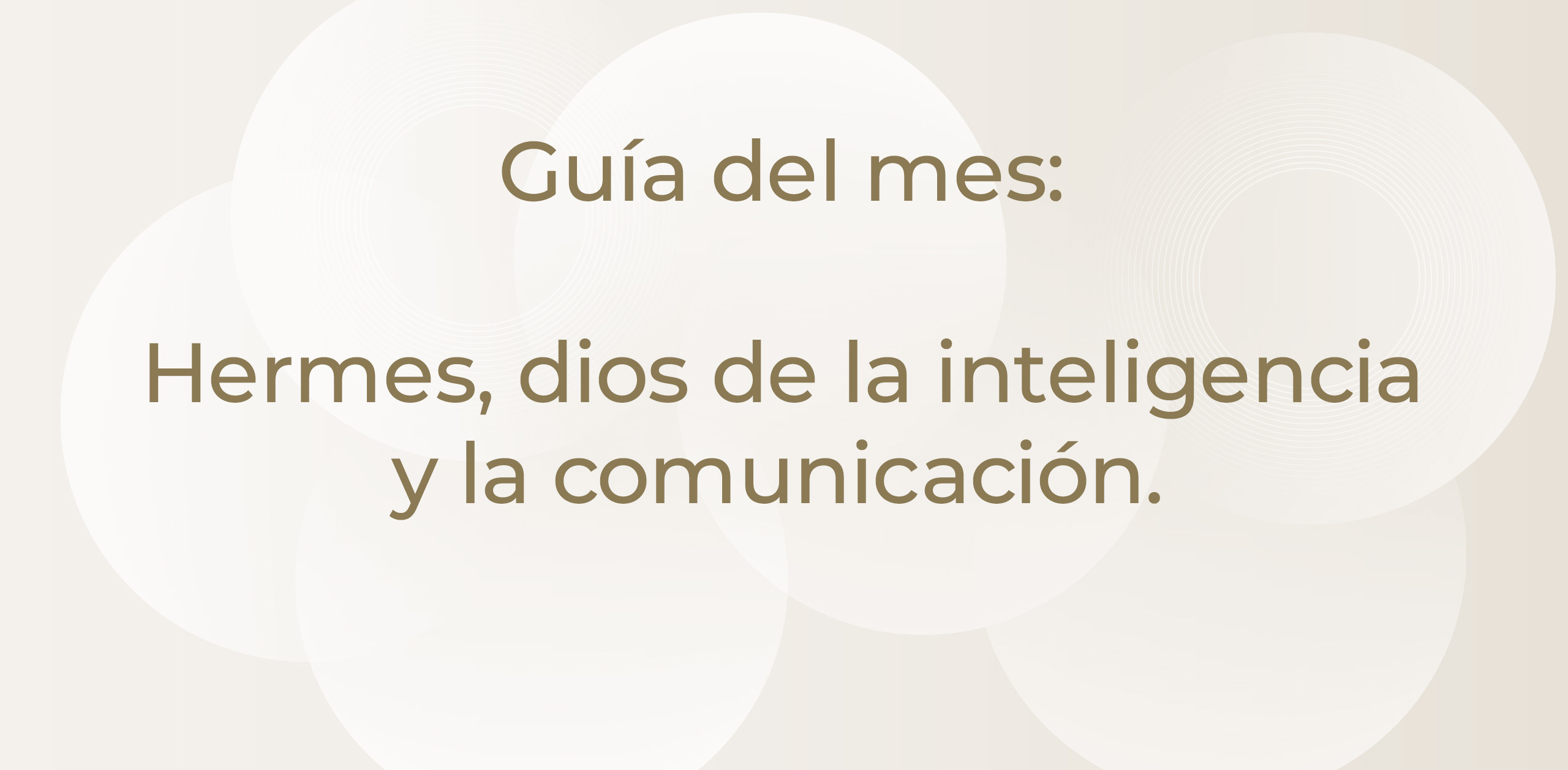 imagen_3