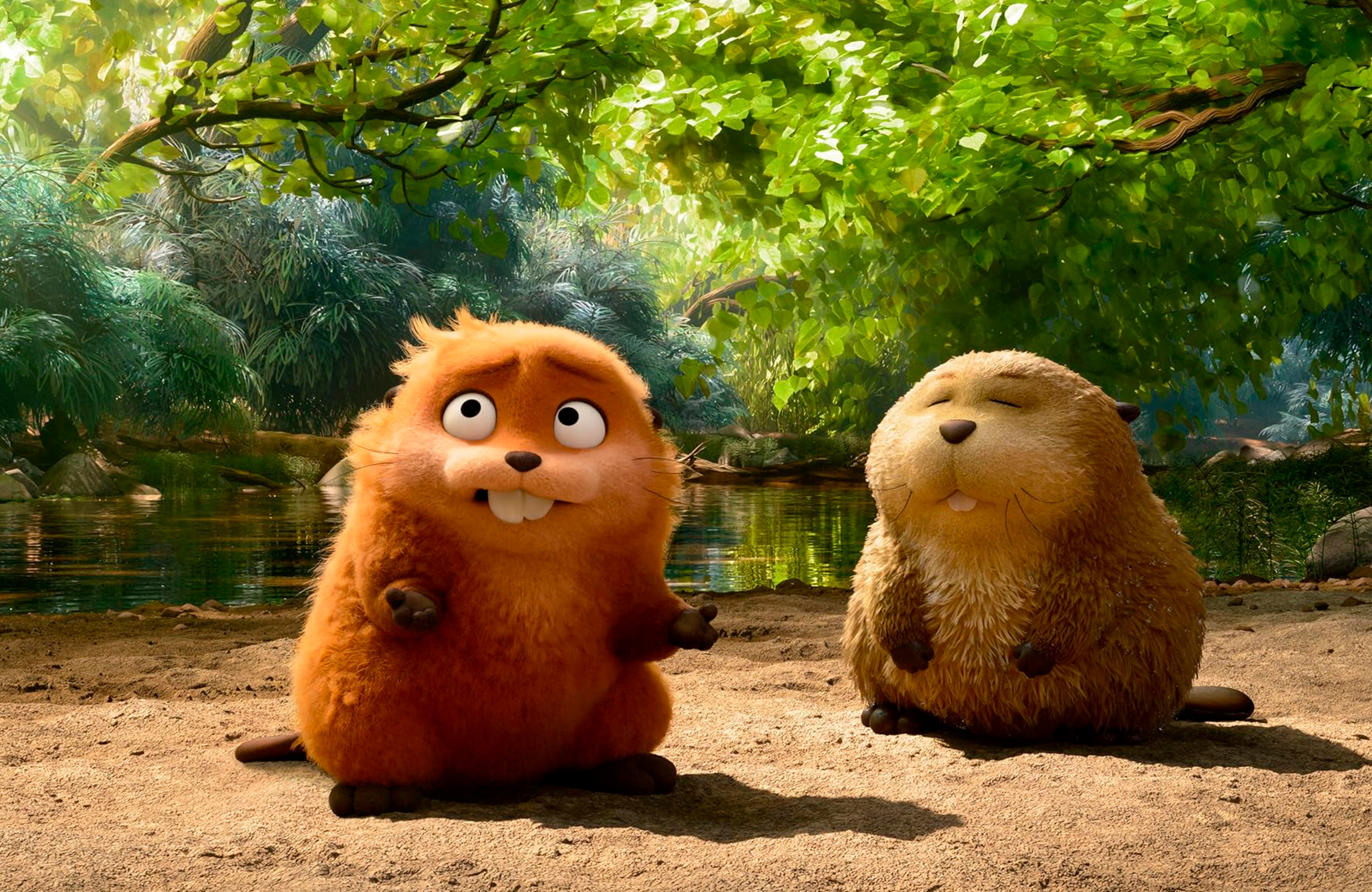 03_BANNER-DE-NOTA_hoppers