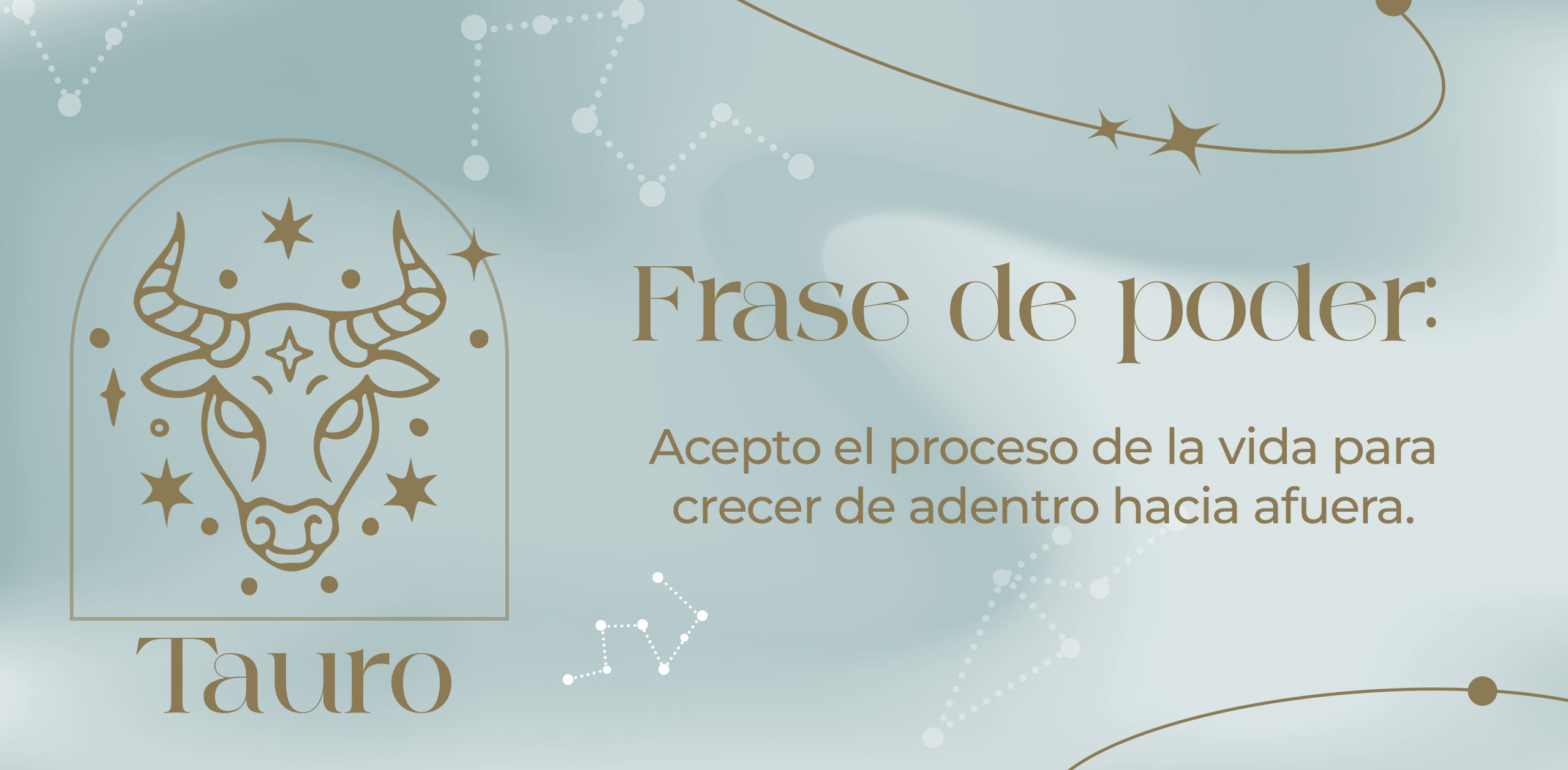 IMAGEN_2