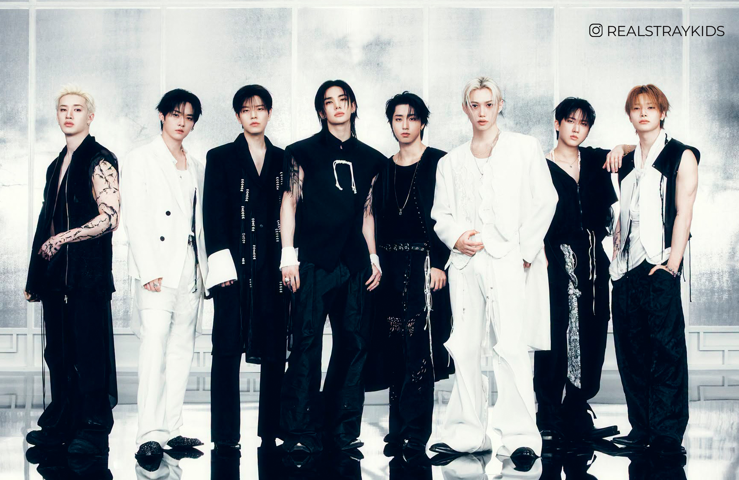BANNER-DE-NOTA_stray