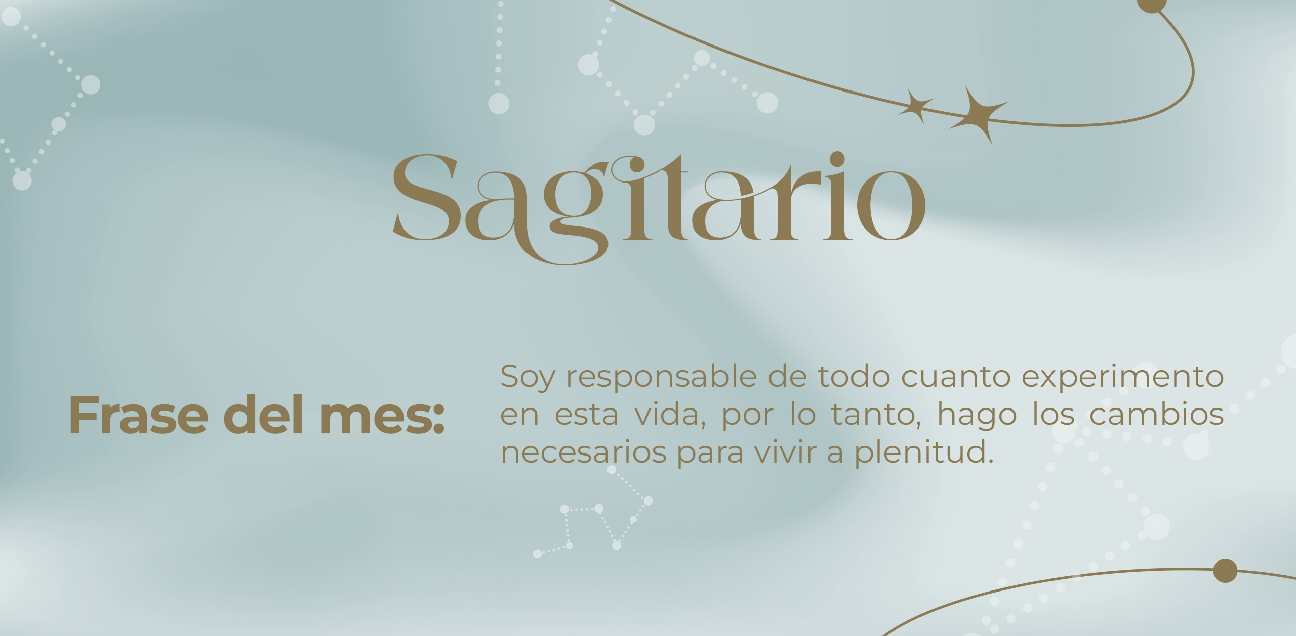 IMAGEN_2